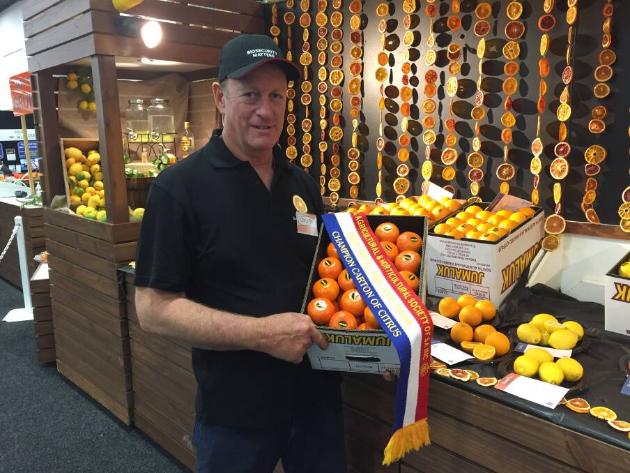 BEST: Citrus SA chairman Mark Doecke, Waikerie, holds the champion carton of citrus, entered by Jumaluk, Waikerie.