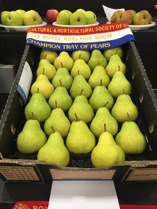 Champion tray of pears was won by Gilmours Orchards, Paracombe. 