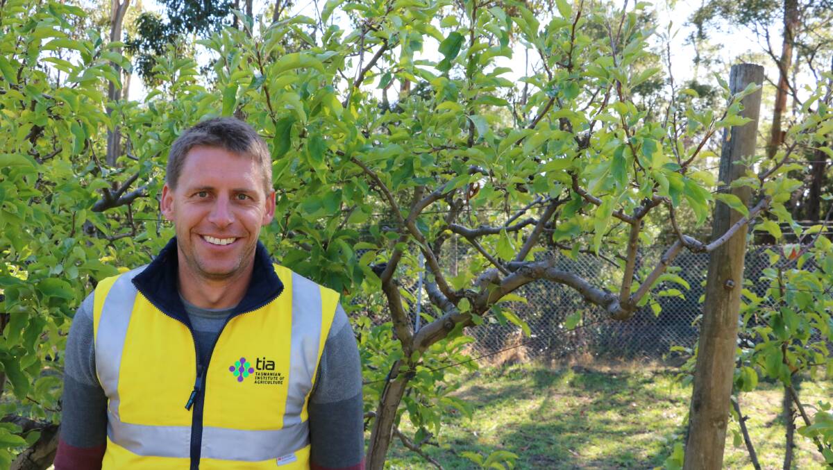 FEELING FRUITFUL: TIA research fellow and project leader Dr Nigel Swarts. Picture: Supplied 
