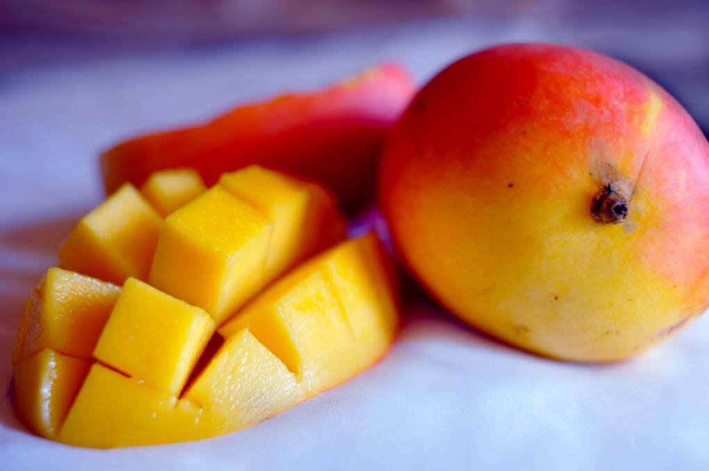 YUM: Mangoes each year are measured for flavour ratings, and year-on-year mangoes continue getting tastier. 