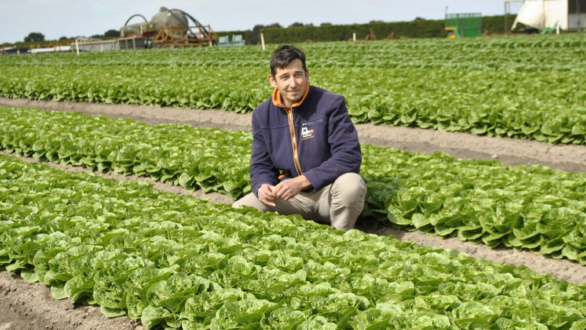CONCERNED: Ausveg Vic president and vegetable grower Paul Gazzola says the Seasonal Worker Program and the Pacific Labour Scheme are vital for Victorian producers to fill the growing void in the state's workforce. 