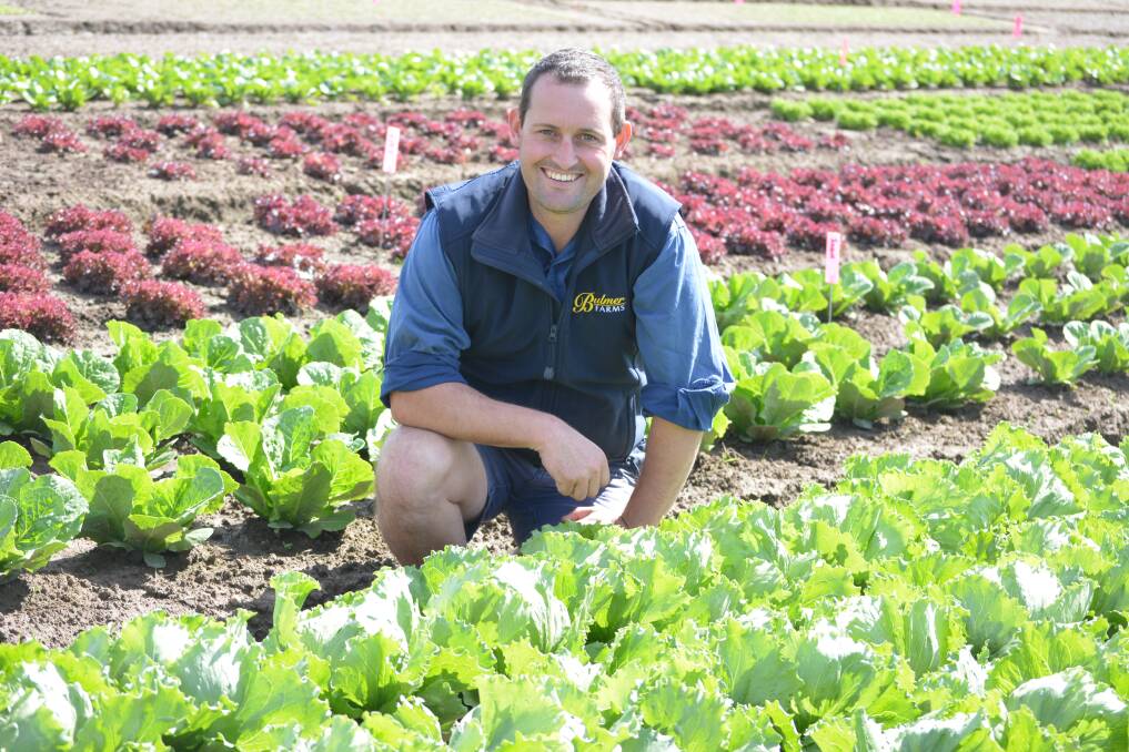 East Gippsland event ready to draw many | Good Fruit & Vegetables | QLD