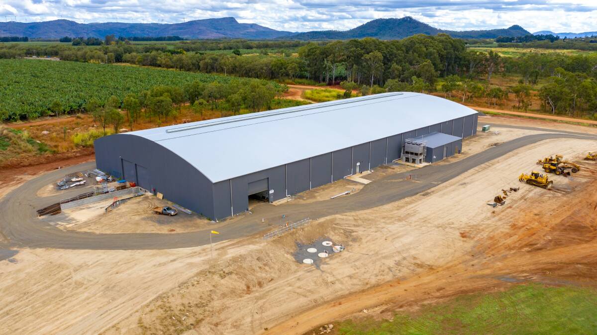 The shed build took around six weeks and has trebled capacity for bananas and avocado processing.