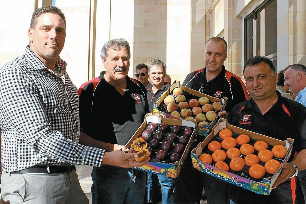 Members of the Hills Orchard Improvement Group Brett DelSimone, Bruno DelSimone, Dave Della Franca and Joe Giglia, calling for State Government support to assist the WA fruit industry. 