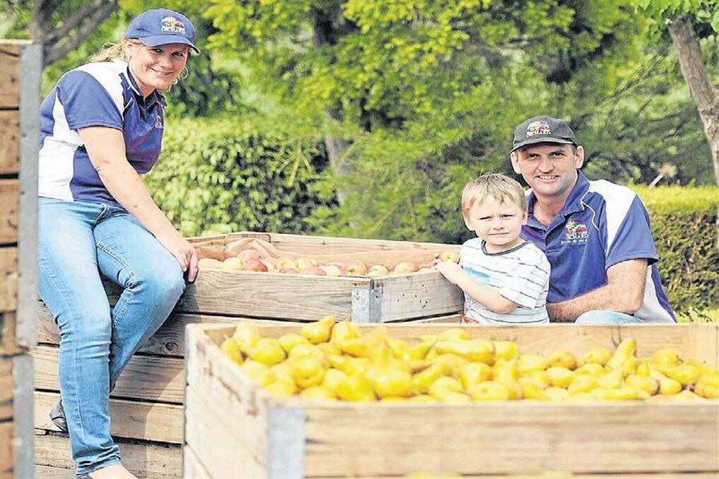 Roleystone Valley View Orchard grower Wilma Byl (left), with her son Jayden and husband Tim, says they are committed to the new sterile fruit fly pilot program. 