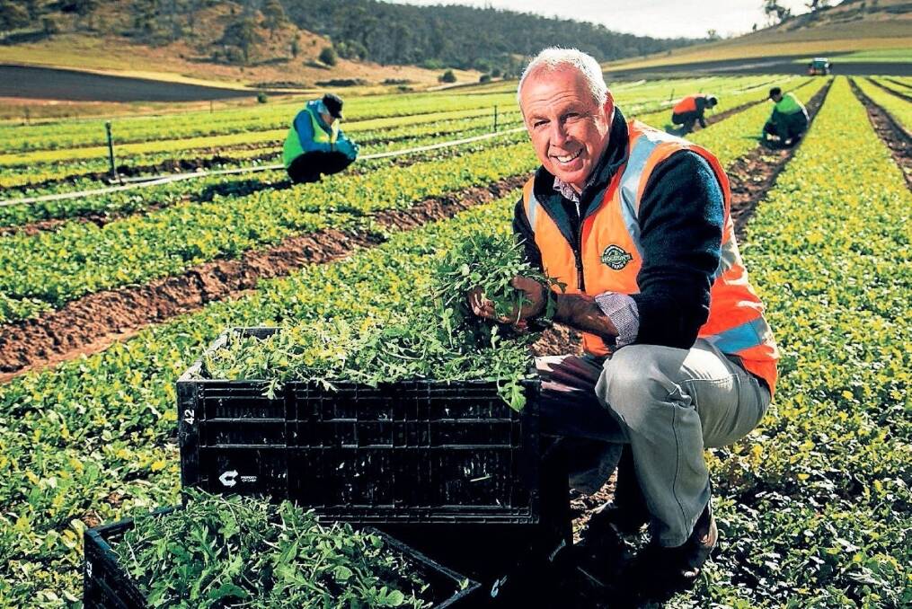 Anthony Houston, owner of salad leaf producer Houston Farms, on one of the company’s properties near Richmond, Tasmania. 