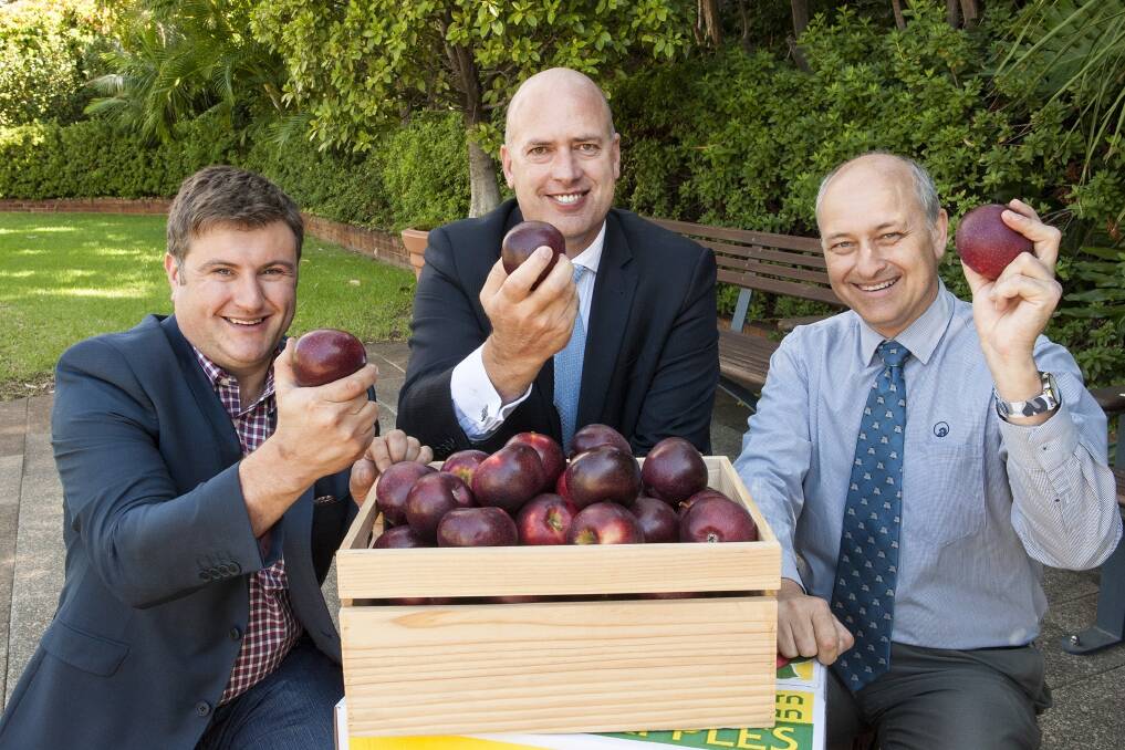 HAPPY APPLES: WA grower Mario Casotti, Agriculture and Food Minister Dean Nalder and Department of Agriculture and Food Horticulture director David Windsor with the new WA-bred Bravo apple.