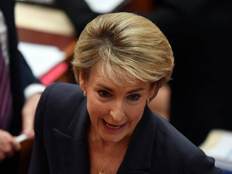NO CHANGE: Michaelia Cash says the government won't be changing the status of "illegal migrant workers".