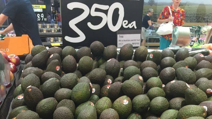 OVERSEAS INPUT: Woolworths has stopped sourcing locally-grown avocados for most of its Queensland stores. Photo: The Avolution