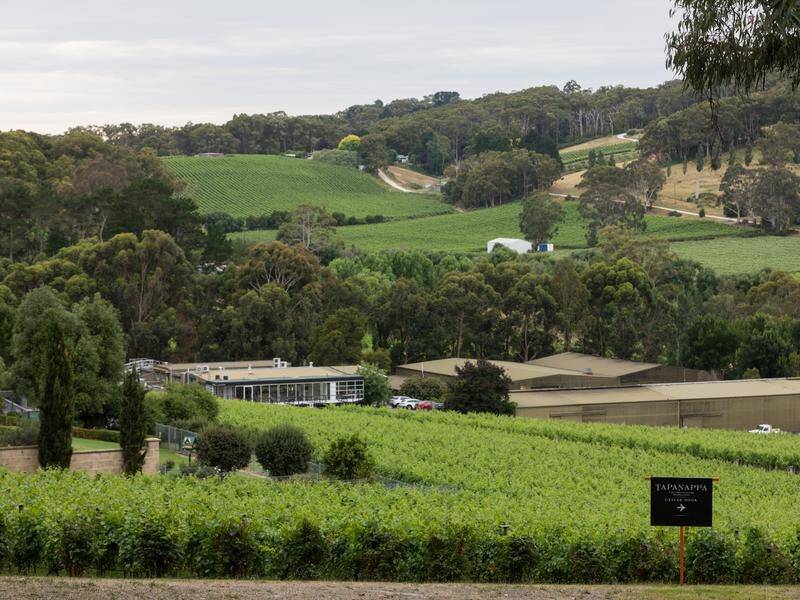 FOCUS: China's imposition of duties on Australian wine will be examined by the WTO