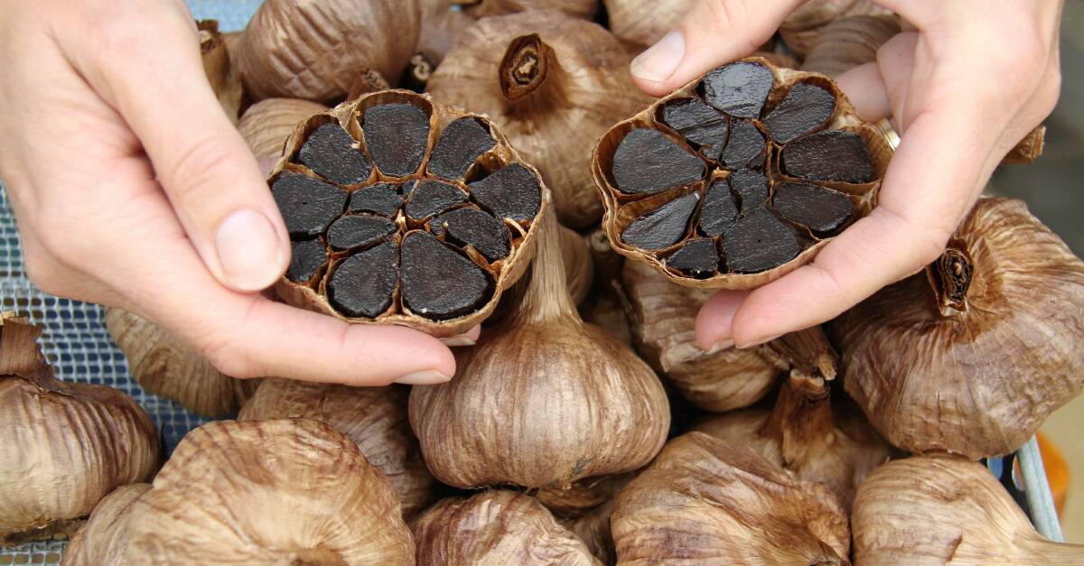 MELT-IN-YOUR-MOUTH: Garlicious Grown, Braidwood, creates beautiful black garlic, which is sold to restaurants and wholesalers in Australia and overseas. The black garlic is slow cooked for a month to create a sweet, caramelised delicacy.