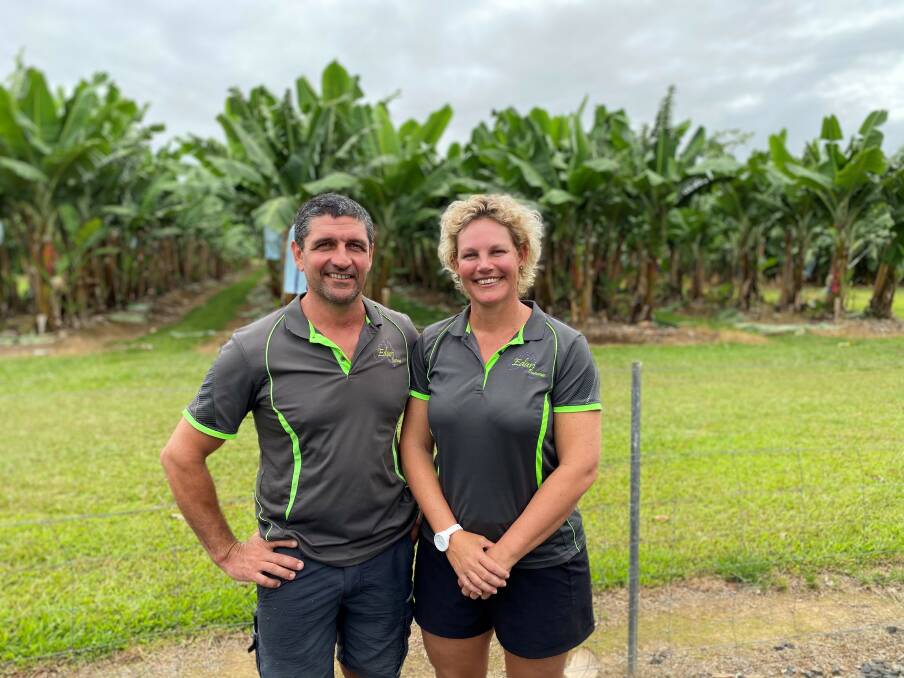 WARNING: Shayne and Blaise Cini, Edari Bananas, are cautious about biosecurity and the impact Panama disease could have on the banana industry in North Queensland.
