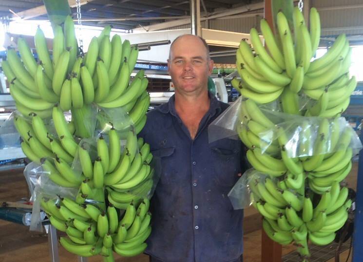 MOMENT: Banana growers from across the north, including Tully Valley grower Leon Collins, are encouraging Australians to get behind the industry on national banana day.