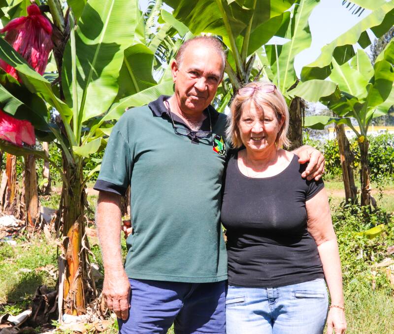 Frank and Dianne Sciacca, Bananas, Pacific Coast Eco Bananas, Innisfail.