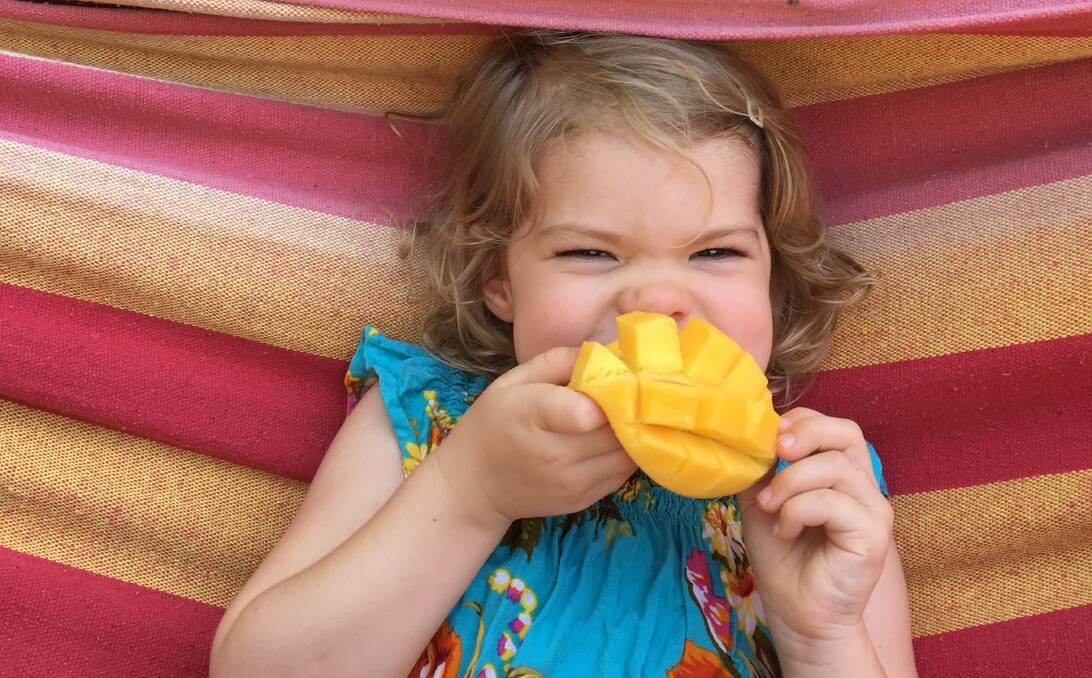 SUMMER LOVING: Far North Queensland mango lover Ede Gowdie, 3, is looking forward to the upcoming mango season.