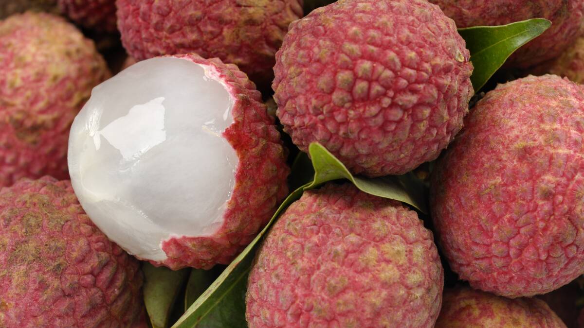 Stolen lychees were found at a Kuranda property.