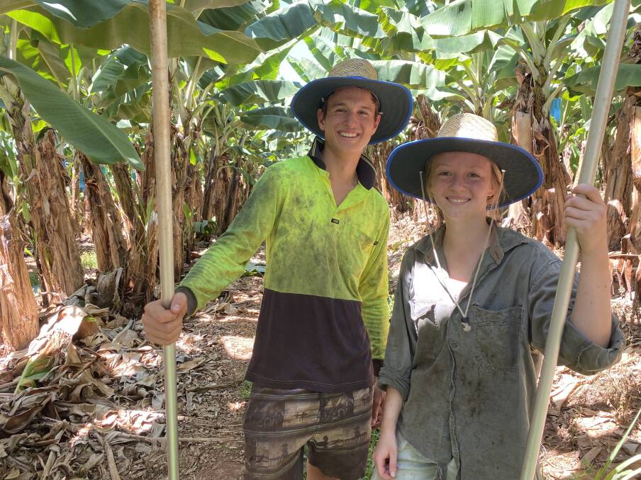 JOBS: Riley Messina and Jade Brownrigg working on Sellars Bananas' farm at Mission Beach.