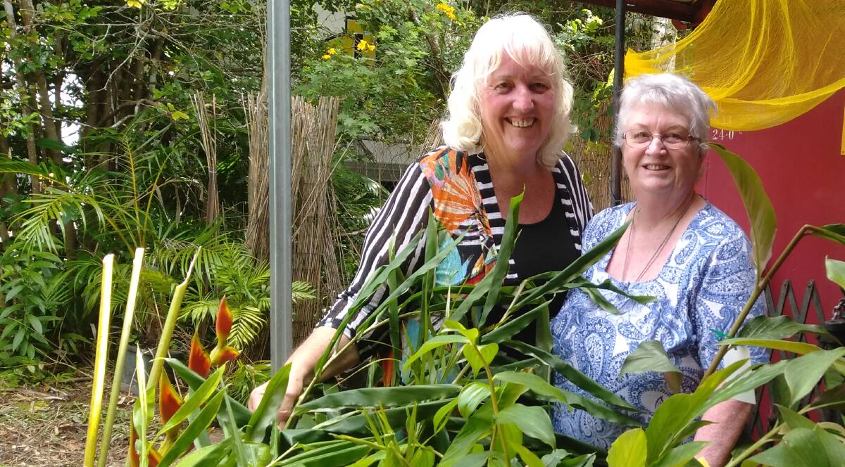 IDEA: Rhonda Sorensen with Carmel Pacey, the innovator behind Topaz Gold ginger, discussing plans to establish a turmeric and ginger industry on the Atherton Tablelands.
