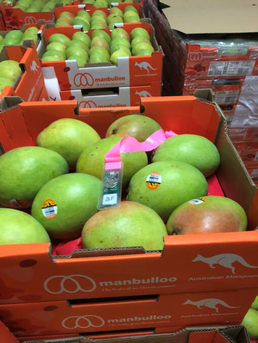 TRIAL: Tracking devices have been placed on Burdekin mangoes to monitor their journey from the packing shed to retailer.