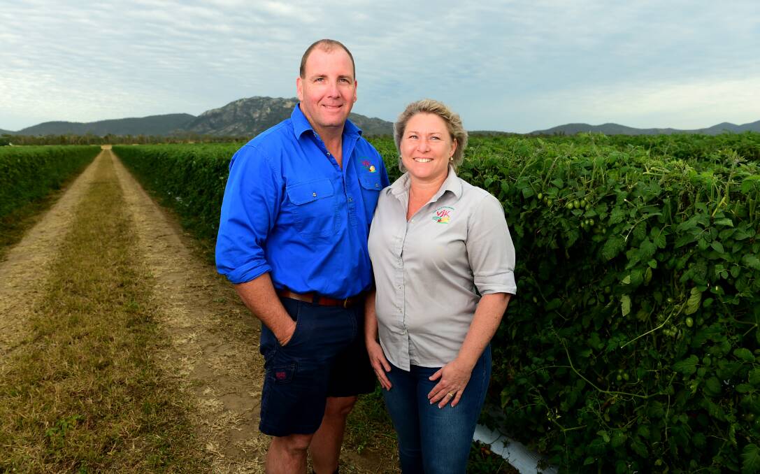 On the menu: Fresh Bowen tomatoes will be back on the table next month and Jamie and Melita Jurgens are happy with their organic crop. 