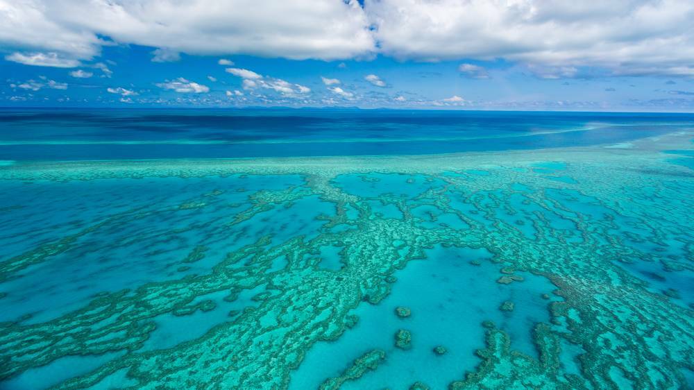 TROUBLED WATERS: Farmers and agricultural groups say the Great Barrier Reef will not benefit from new regulations which are too strict to achieve the desired outcome.