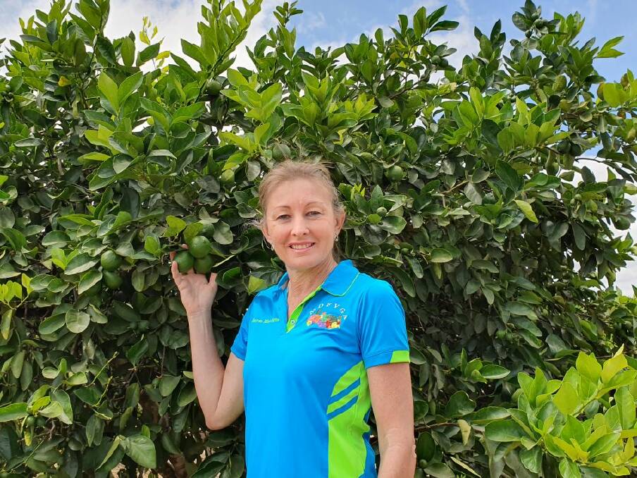 CROP: Mutchilba grower Karen Muccignat with some of her limes. Photo: Jole Muccignat.