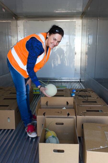 AWAY: Heidi Wittl, technical officer, protected cropping team, Department of Agriculture and Fisheries, loading Burdekin grown melons into the container.