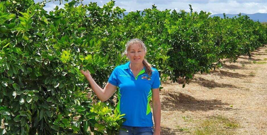 POTENTIAL: Qld lime grower Karen Muccignat, Mutchilba is receiving the lowest prices ever for her limes at this time of year due to supply and demand issues. Photo: Jole Muccignat