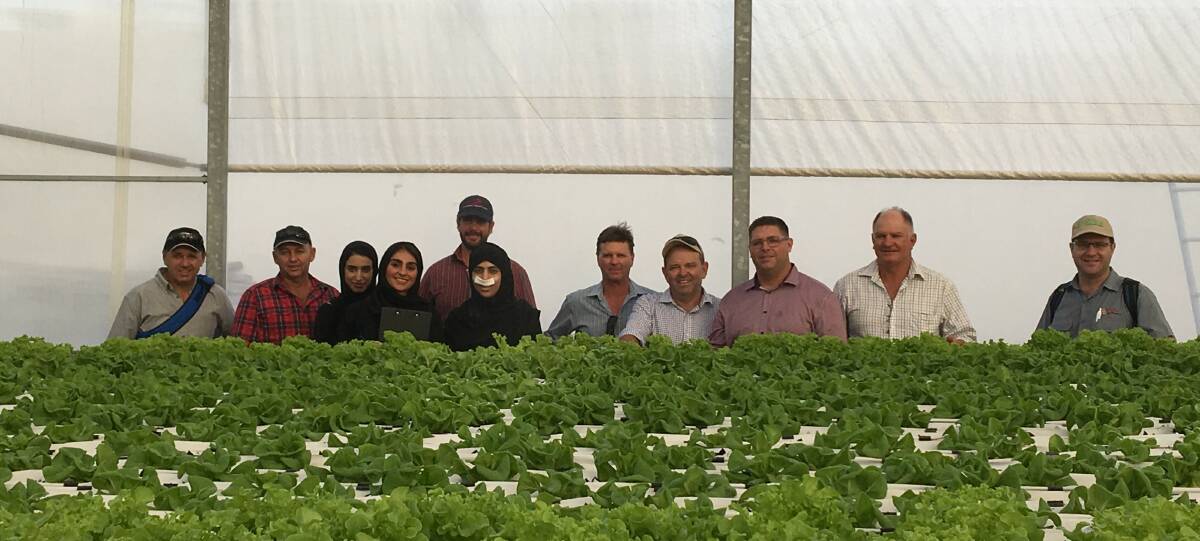 TOUR: The delegation visited Gracia Farms in Abu Dhabi which uses the latest agricultural systems to produce the best quality products, achieve food security and achieve global excellence. 