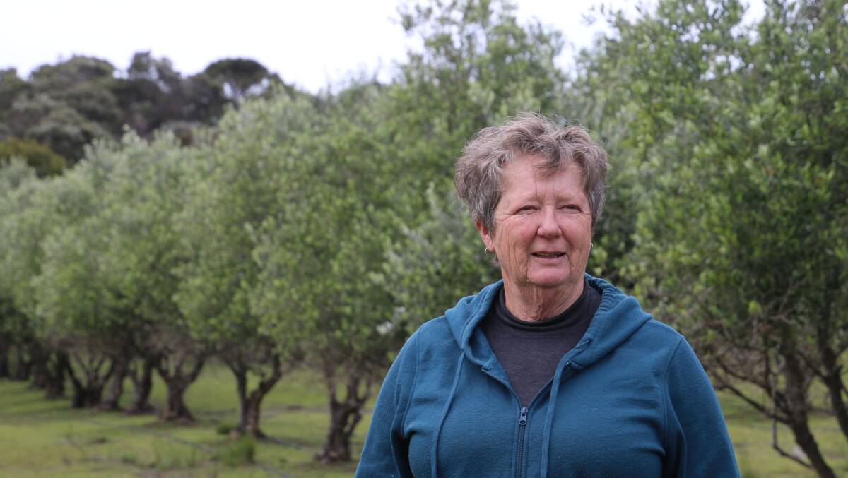 CHALLENGE REWARDED: Jude Cazaly of Flinders Island Olives has won an international award, despite nearly not picking this year due to COVID-19 restricting harvest helpers. Picture: supplied.
