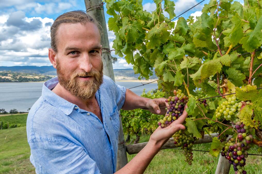 NEW WINES: Sam Rush, of Launceston, has launched his new wine label Rush Wines and is working to produce a new pinot gris and pinot noir. Pictures: Phillip Biggs