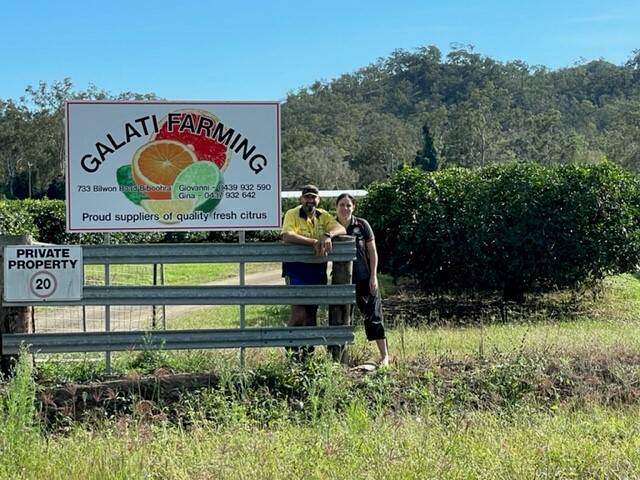 FUTURE: Mareeba's Giovanni and Gina Galati are struggling to keep up with the increasing demand for their product. Photo: QRIDA