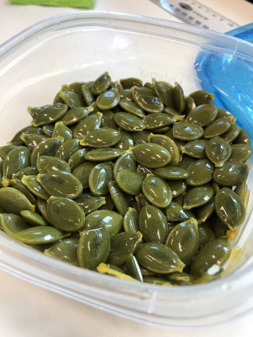 POTENTIAL: Pumpkin seeds, which have become very popular in cereals and snacks, and within the health food market. 
