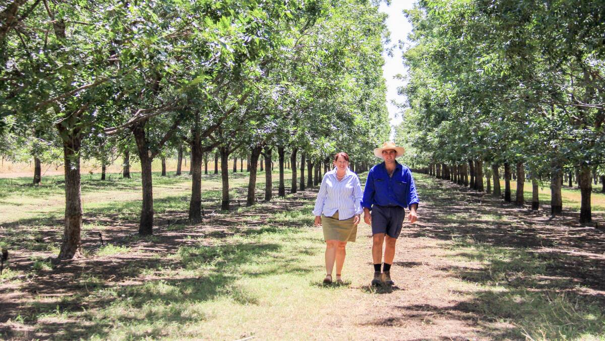 Michelle Chicken and Boyd Paton in their pecan trees at Mundubbera that rely on the irrigation water. 