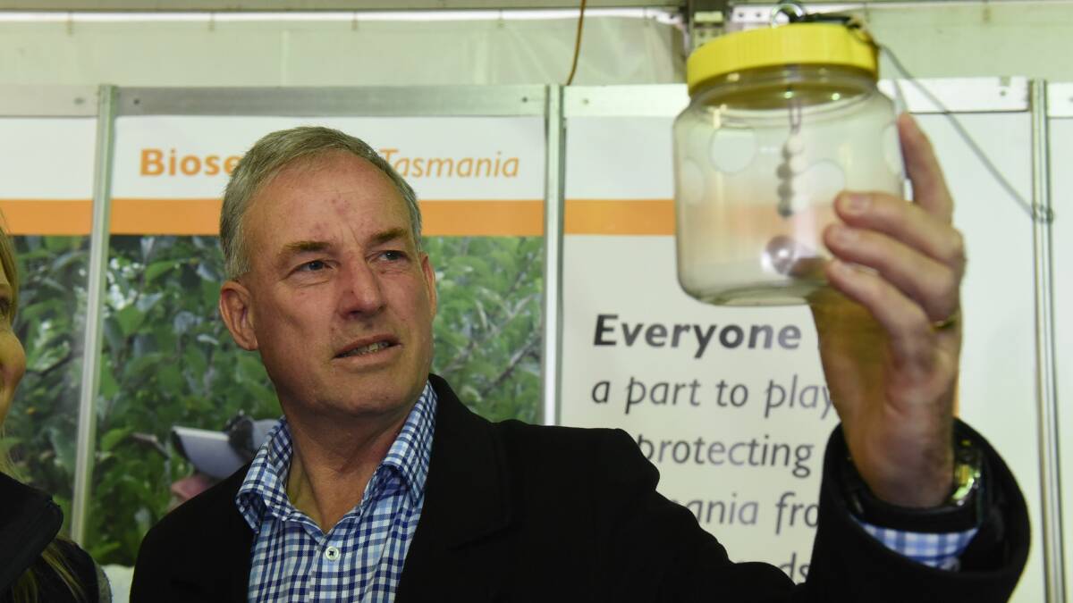 FUNDING BOOST: Tasmanian Senator Richard Colbeck inspects a fruit fly trap at Agfest. Picture: Paul Scambler