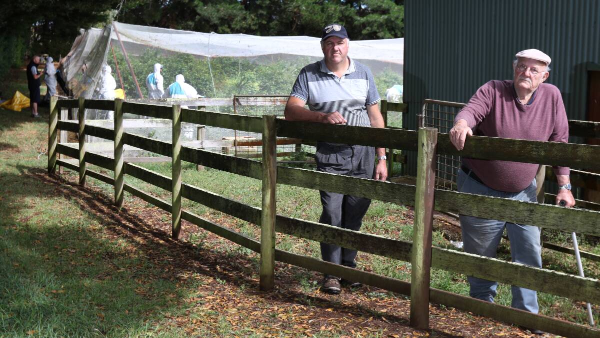 ONGOING THREAT: Ronald and Heinz Schwind watch biosecurity personnel remove blueberry plants at their Barrington farm in 2015. Picture: Grant Wells