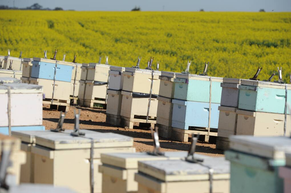 Bushfire recovery grant for beekeepers