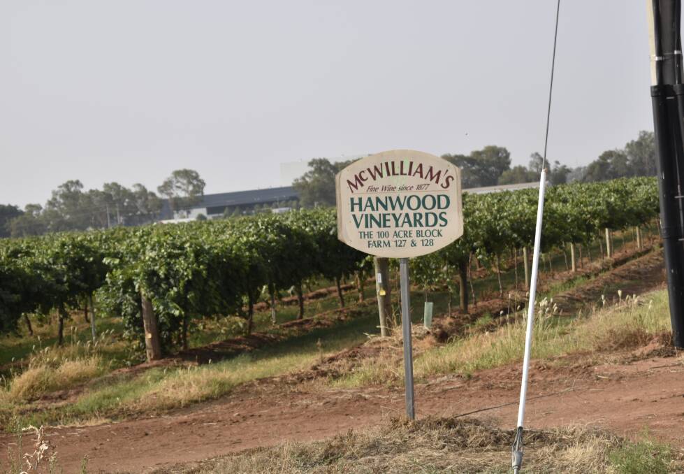 GOING: Riverina winemaker McWilliam's has been placed into voluntary administration. PHOTO: Kenji Sato