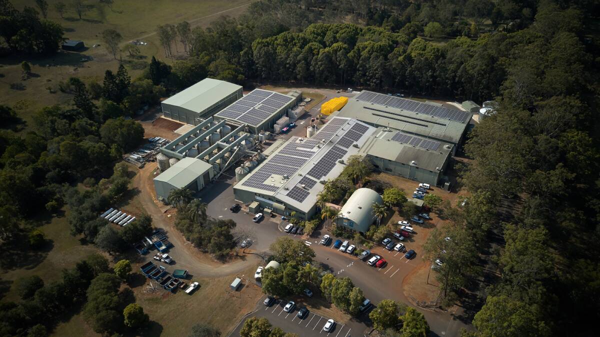 INDUSTRY: Marquis Macadamias' processing facility at Lismore, NSW.