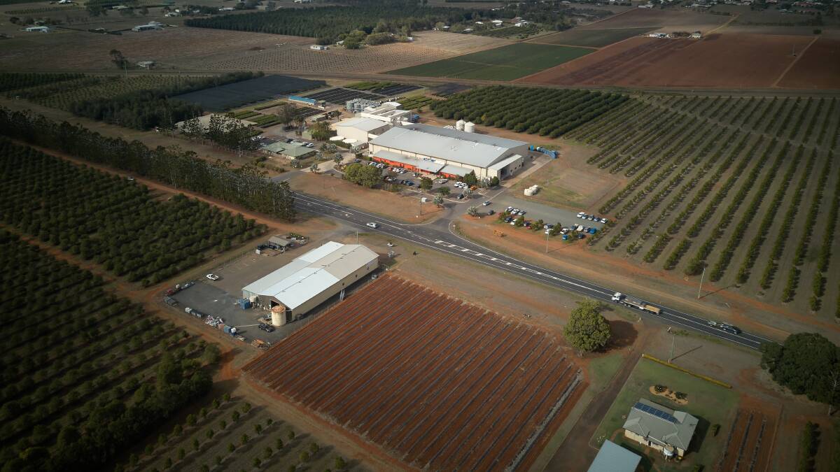 BIGGER: A multi-million-dollar expansion of Marquis Macadamias processing facility in the Bundaberg region has been approved.