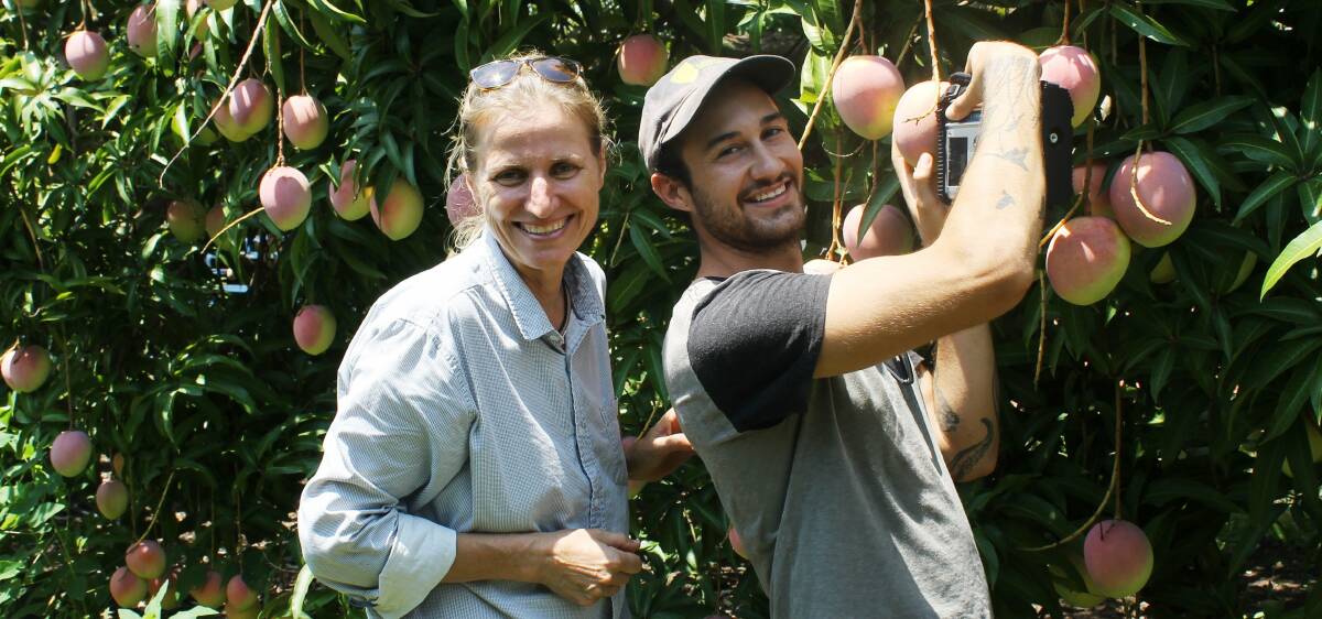 BETTER MANGOES: NT grower Martina Matzner and Nick Anderson with the NIRS gun.