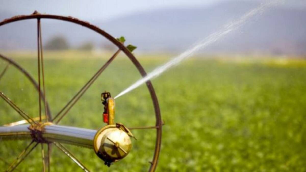 A business case for the proposed Lakeland Irrigation Scheme is set to begin. 
