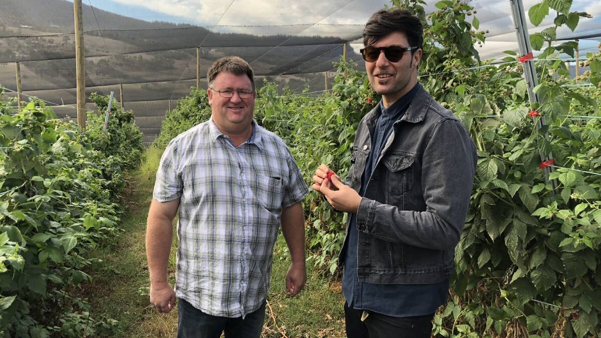 INTERNATIONAL TRADE: Berry grower Nic Hansen showing Macau chef Antimo Merone around his Tasmanian property as part of export engagement activities.