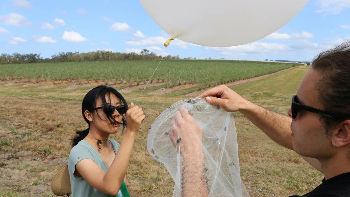 University of Sydney researchers Patsavee Utaippanon and Dr Michael Holmes deploying the balloon.